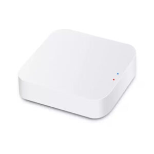 Mini módulo wifi Gateway 2 en 1 para Zigbee/Bluetooth